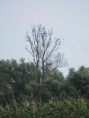 /album/fotogalerij-koorreis-2017/img-9220-1-jpg/